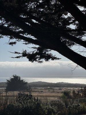 photo of Paulinha B.