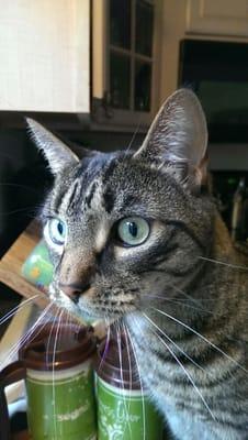 Photo of Ron S.