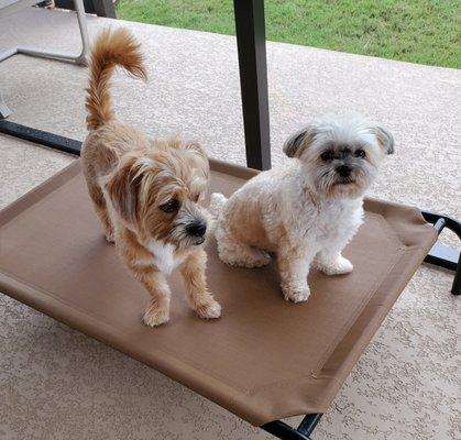 Photo of Elizabeth H.