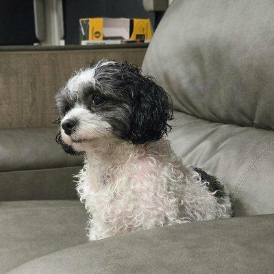 Photo of Lori ..