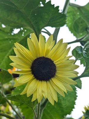 photo of Refined Palate R.