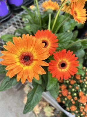 photo of Michelle C.