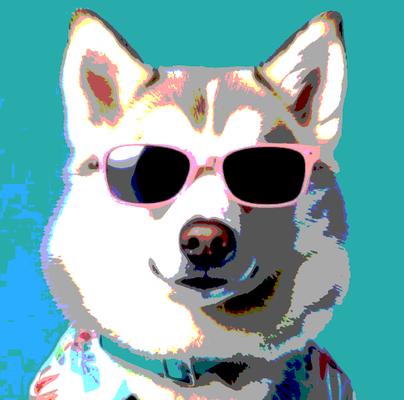 Photo of Sniff D.