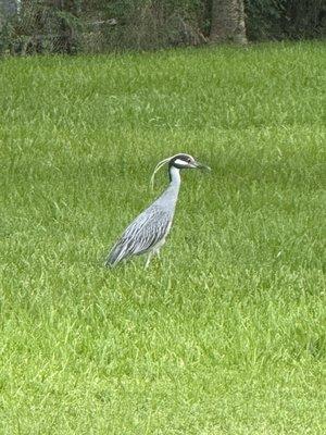 photo of Anonymously R.