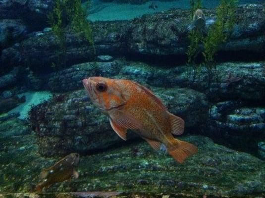 photo of DannyEarl W.