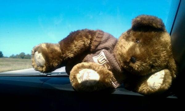 Photo of Codey L.