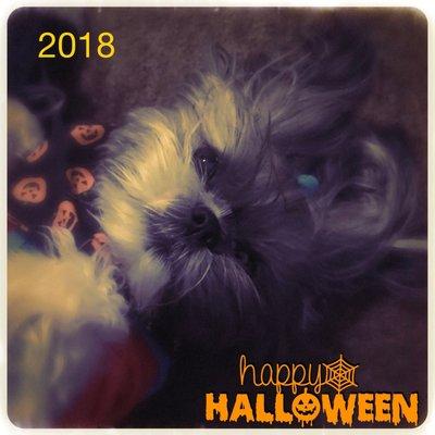 photo of Human In A S.