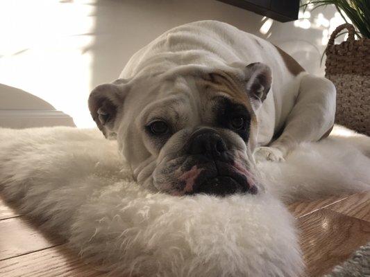 photo of Jefferson V.