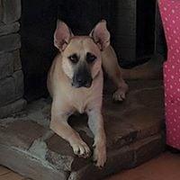 Photo of Cindy I.