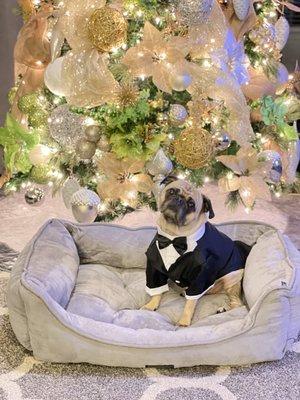 Photo of Katherine M.