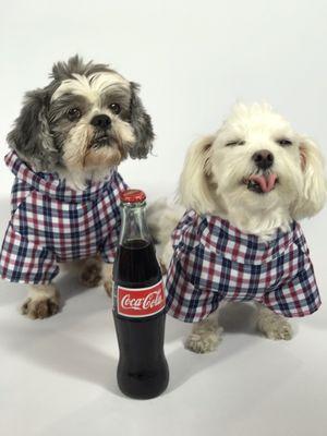 photo of Alexandra Y.