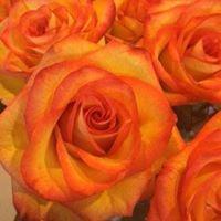 photo of Lewann-Josh R.