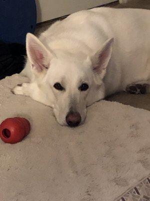 photo of Jennifer B.