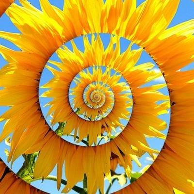 photo of Jennifer H.