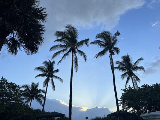 photo of Amanda Jane B.