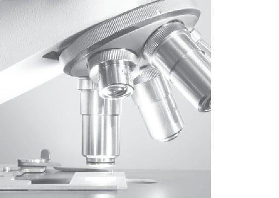 photo of Histologistics I.