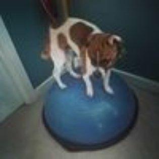 Photo of Christina W.