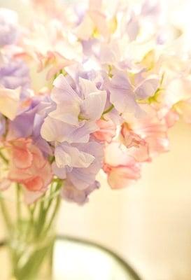 photo of Josephine G.