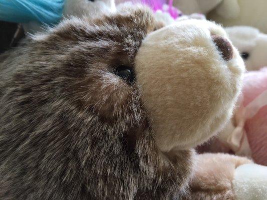 photo of Albert David V.