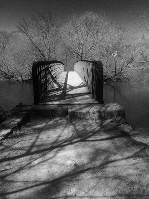 photo of Legal Grounds H.