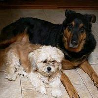 photo of Jennifer M.