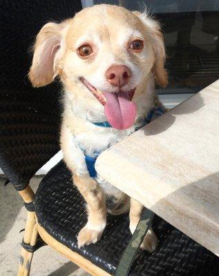 photo of Christina C.