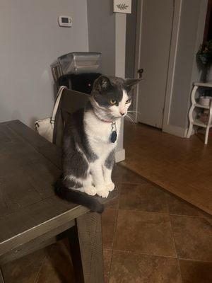 Photo of Candy P.