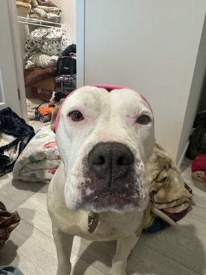 photo of Savannah S.