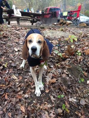 photo of Elizabeth S.