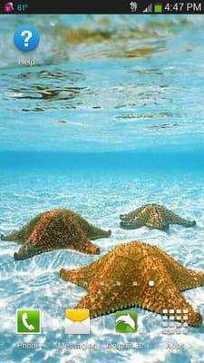 photo of Ocean A.
