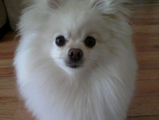 Photo of Nelly N.