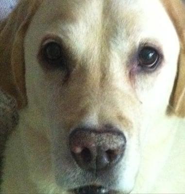 Photo of Waylon J.