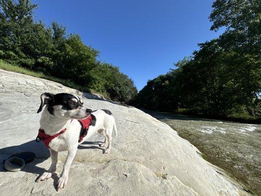 Photo of Milo D.