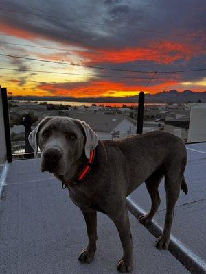Photo of Kimber C.