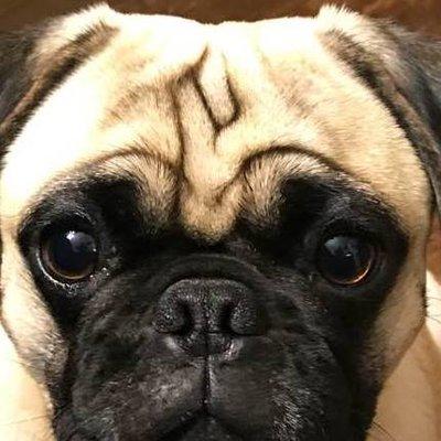 photo of Jennifer W.