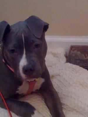 photo of Danielle S.