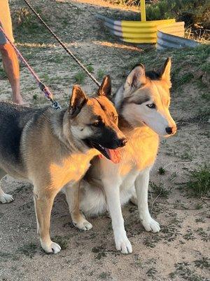 photo of Brittney P.