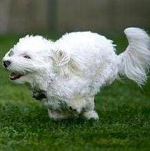 photo of Catherine K.