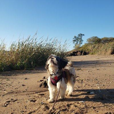 photo of Alley7rabbit ..