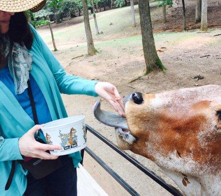 photo of Michelle R.