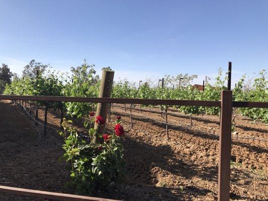 photo of Kristina G.