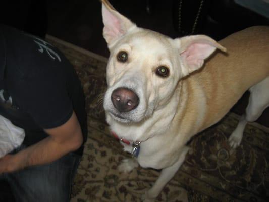 Photo of Giselle C.