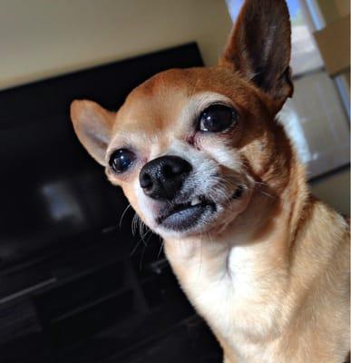 Photo of Junior M.