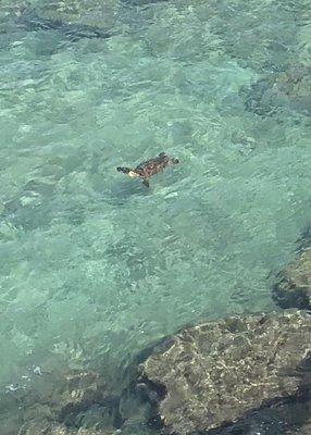 photo of Michelle S.