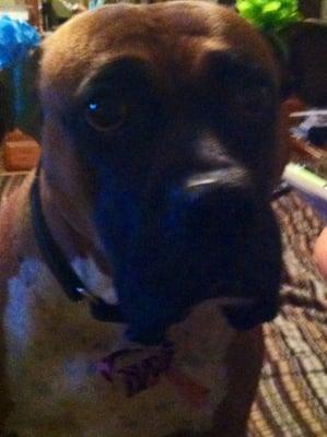 Photo of Antoinette G.