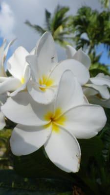 Photo of Valerie M.