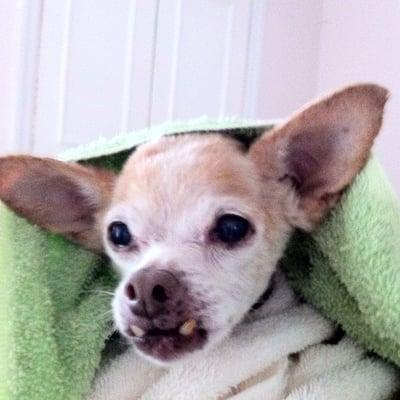 Photo of Renee H.