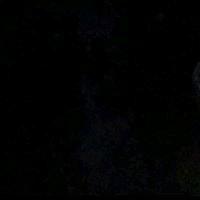 Photo of Angel L.