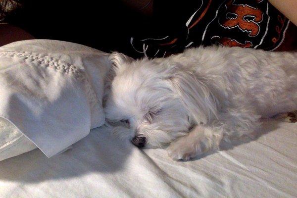 photo of J Double U Y.