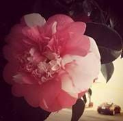 Photo of Lily G.